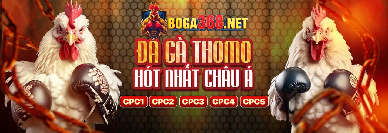 Tải Ứng Dụng x888 Chính Thức