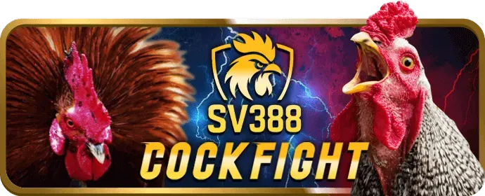 Hoàn trả casino x888